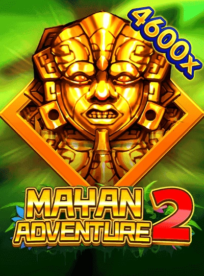 tj999 tj999